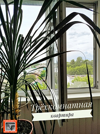 3 к. кв-ра, ул. Севастопольская, д. 109, г. Гомель ID: 100146 3 к. кв-ра, ул. Севастопольская, д. 109, г. Гомель ID: 100146