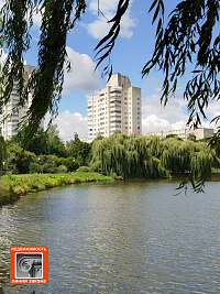 3 к. кв-ра, улица Петруся Бровки, д. 49, г. Гомель ID: 100242 3 к. кв-ра, улица Петруся Бровки, д. 49, г. Гомель ID: 100242
